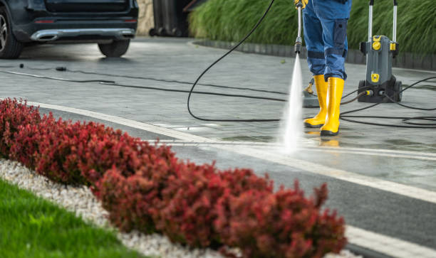 Best Sidewalk Pressure Washing  in Parkersburg, IA