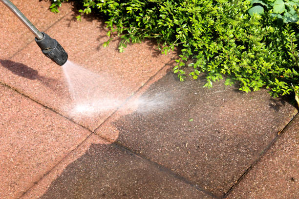 Best Affordable Power Washing  in Parkersburg, IA